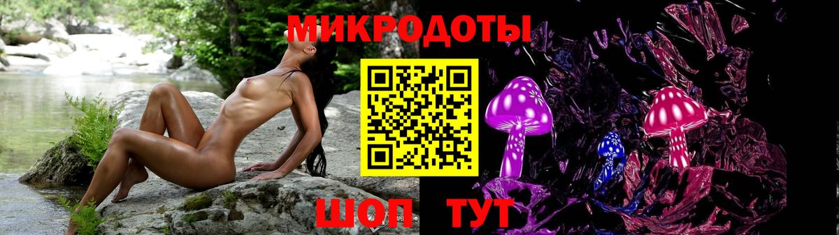 Вязьма  Псилоцибиновые грибы Cubensis  Вход с VPN  Галлюциногенные грибы Cubensis 